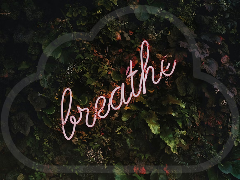 National love your lungs day