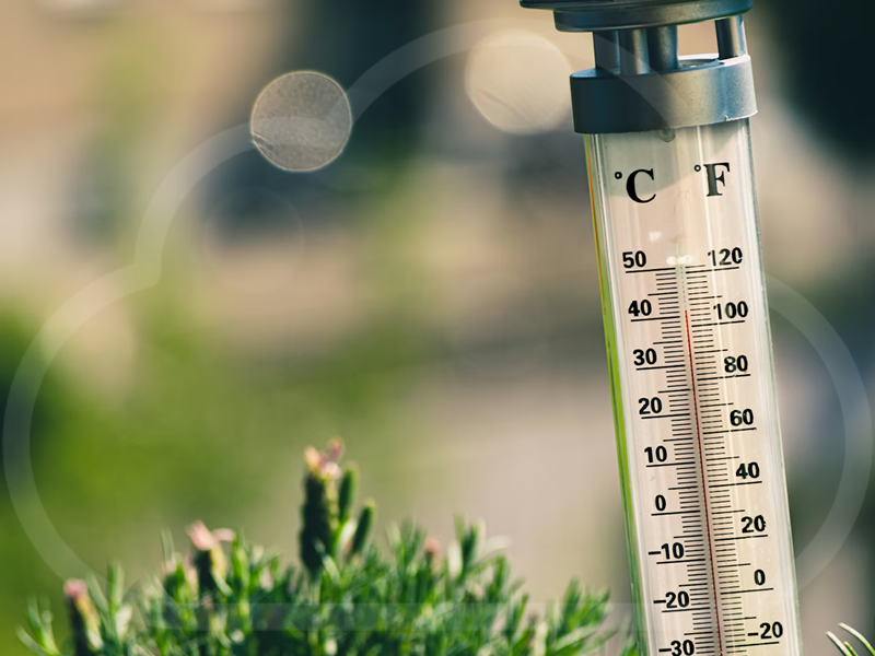 Looking after our physical health in a heatwave